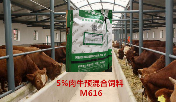 5%生态肉牛复合预混料