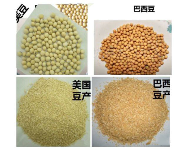 教槽料,保育料,浓缩料厂家,预混料厂家,浓缩饲料,预混饲料 教槽料,保育料,浓缩料厂家,预混料厂家,浓缩饲料,预混饲料